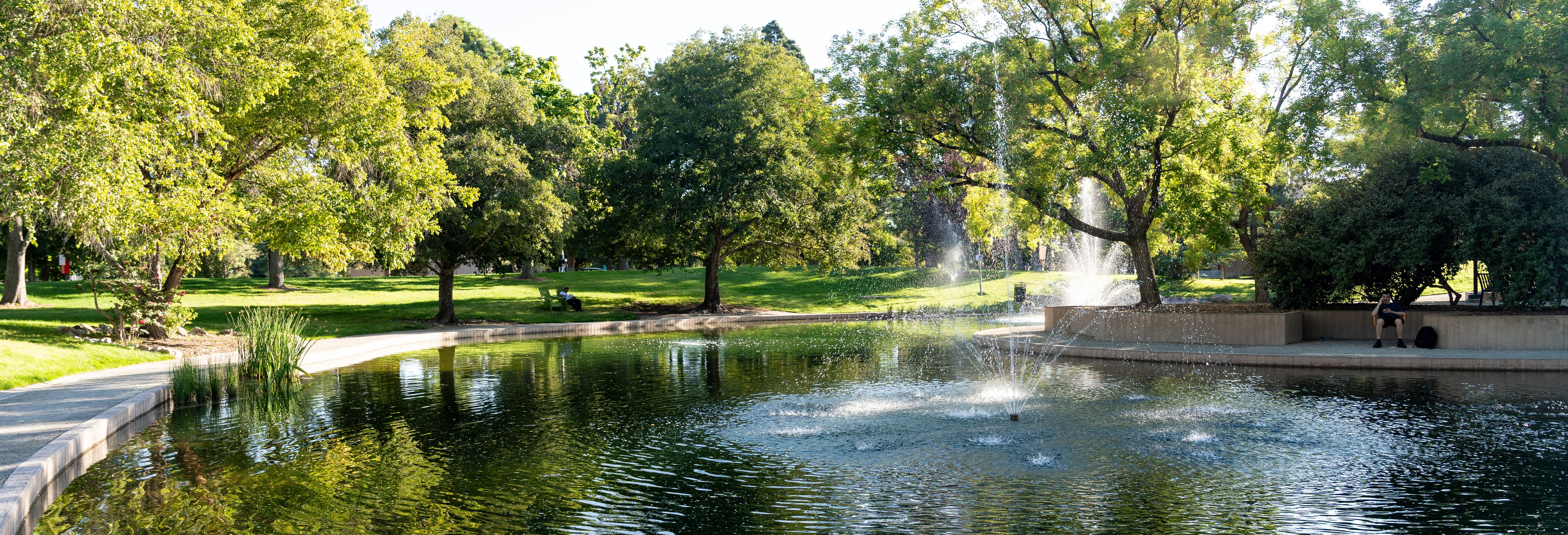 unm-duckpond.jpg